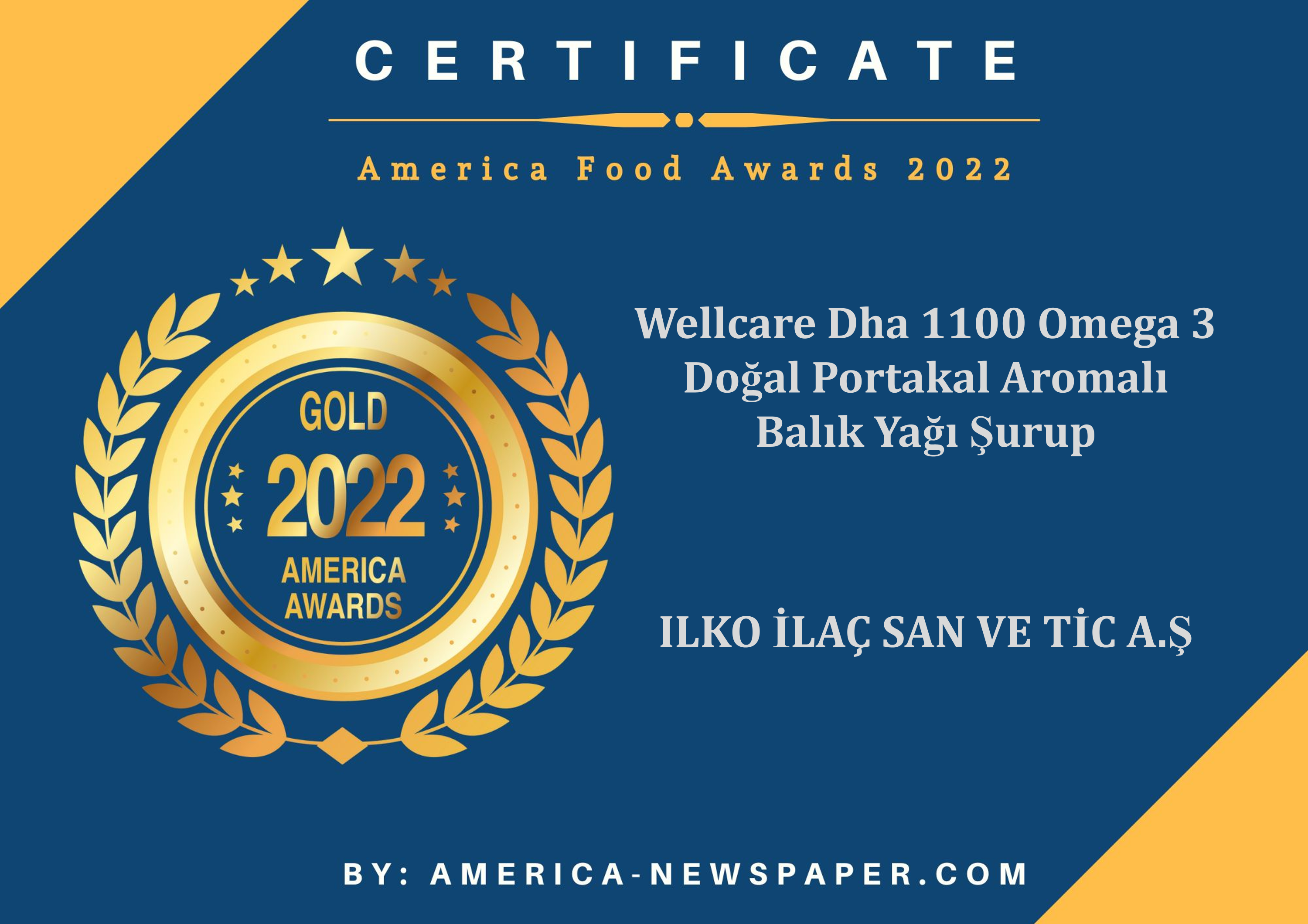 America Food Awards 2022 Gold Cert Wellcare Dha 1100 Omega 3 Doğal Portakal Aromalı Balık Yağı Şurup