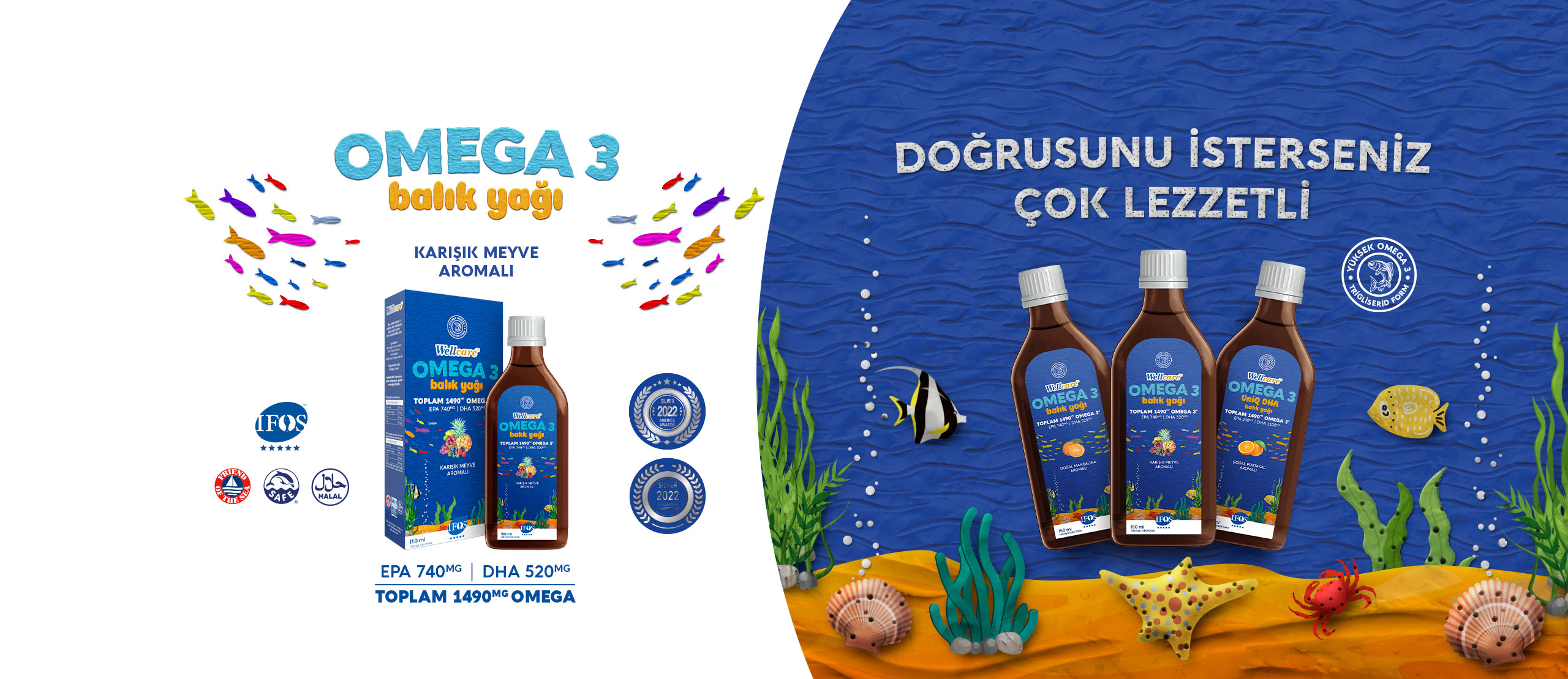 Omega 3 Karışık Meyve Aromalı Balık Yağı – Wellcare Türkiye
